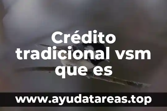 Crédito tradicional vsm que es