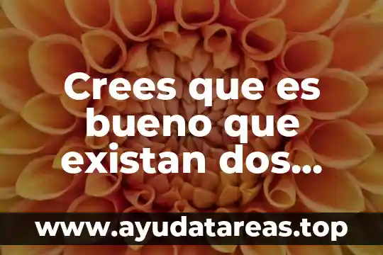 Porque crees que es importante el agua 7 Crees que es bueno que existan dos negocios iguales