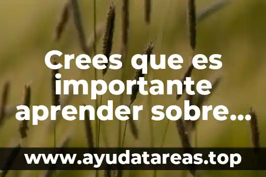 Porque crees que es importante el agua 8 Crees que es importante aprender sobre las personas prehistoria