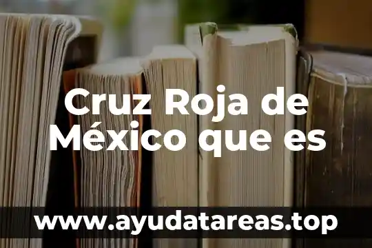 Yuri que es de celia cruz 8 Cruz Roja de México que es