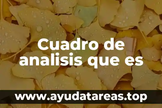 Qué es el capital en un análisis financiero 6 Cuadro de analisis que es