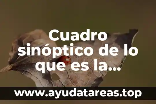 Que es un cuadro de nombres 3 Cuadro sinóptico de lo que es la ponencia