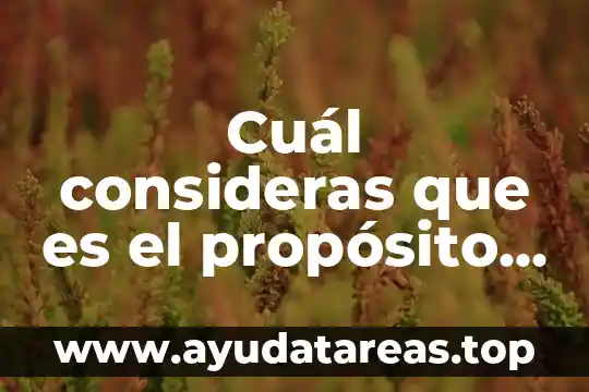 Qué es el término factorial número en estadística 6 Cuál consideras que es el propósito de ésta asignatura estadística