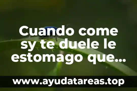 ¿Qué es mejor te de perejil o agua de oregano? 8 Cuando come sy te duele le estomago que es