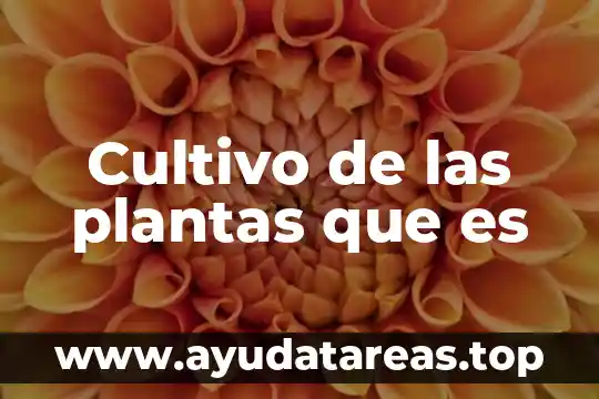 Cultivo de las plantas que es
