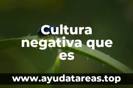 Cultura negativa que es