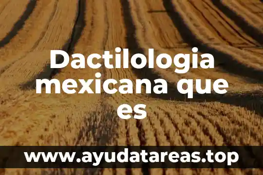 Dactilologia mexicana que es