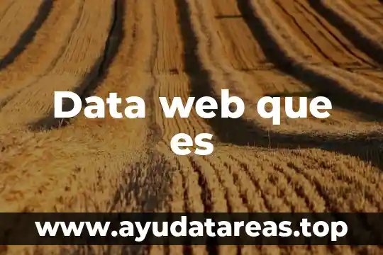 Que es un servidor web resumido 4 Data web que es
