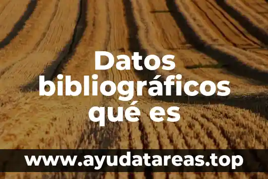 Que es un argumento de datos 6 Datos bibliográficos qué es