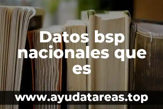 Que es un sistema y tipos de sistema 5 Datos bsp nacionales que es