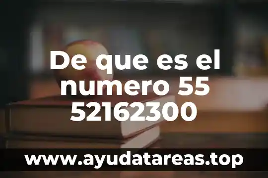 Número de municipio que es puerto vallarta 7 De que es el numero 55 52162300