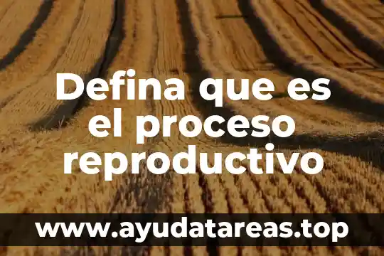Que es una fotografia digital a color 3 Defina que es el proceso reproductivo