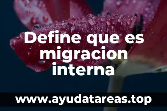 Que es significa reformada en materia de contabilidad 6 Define que es migracion interna