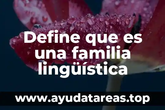 Define que es una familia lingüística