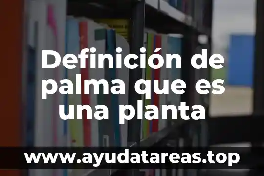 Que es una planta libre en la arquitectura 7 Definición de palma que es una planta
