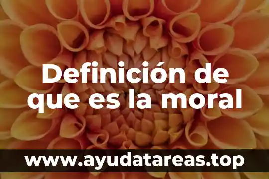 Definición de que es la moral