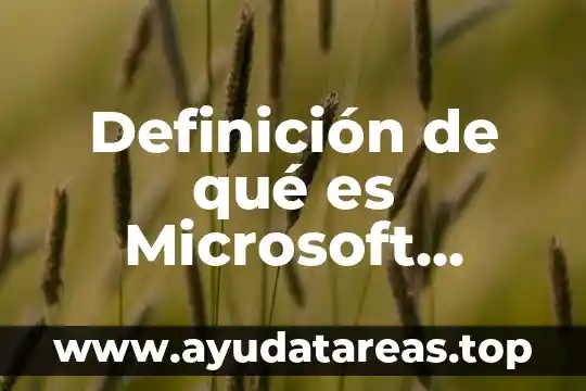 Definición de qué es Microsoft Word