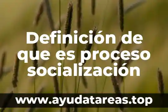 Definición de que es proceso socialización