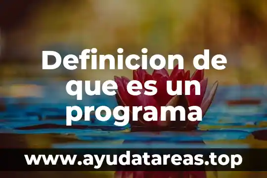 Qué es un electroimán definición 5 Definicion de que es un programa