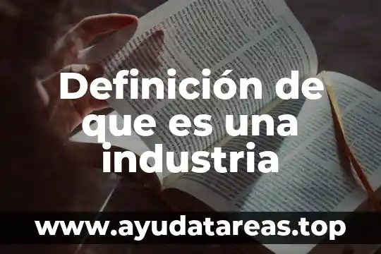 Definición de que es una industria