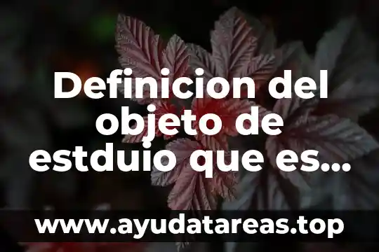 Que es justificacion de un proyecto de tesis 8 Definicion del objeto de estduio que es en las tesis