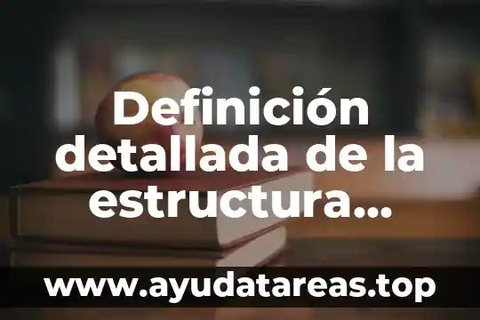 Definición detallada de la estructura organizacional que es