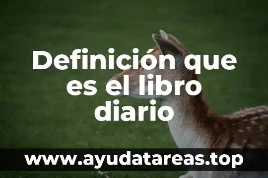 Que es la existencia libro 6 Definición que es el libro diario