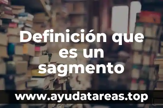 Definición que es un sagmento