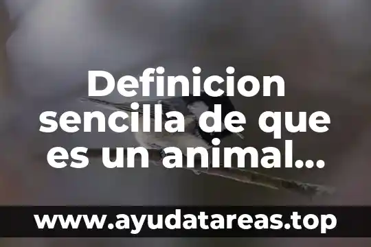 Que es centriolos de la celula animal y su funcion 5 Definicion sencilla de que es un animal salvaje