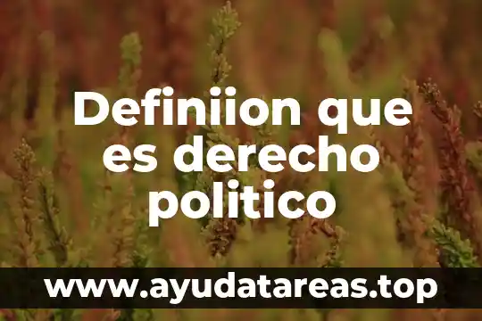 Definiion que es derecho politico