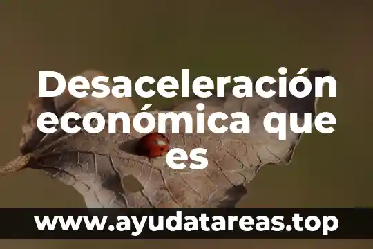 Desaceleración económica que es