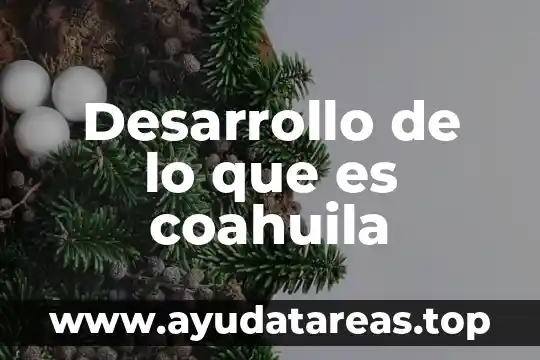 Desarrollo de lo que es coahuila