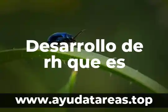 Desarrollo de rh que es
