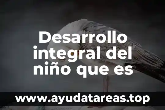 Desarrollo integral del niño que es
