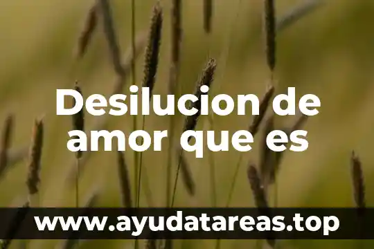 Desilucion de amor que es