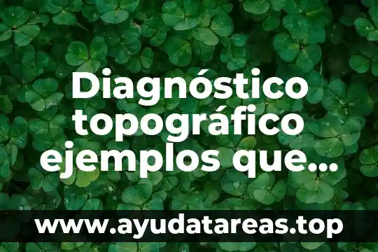 Qué es un diagnóstico organizacional definición ventajas y beneficios 8 Diagnóstico topográfico ejemplos que es