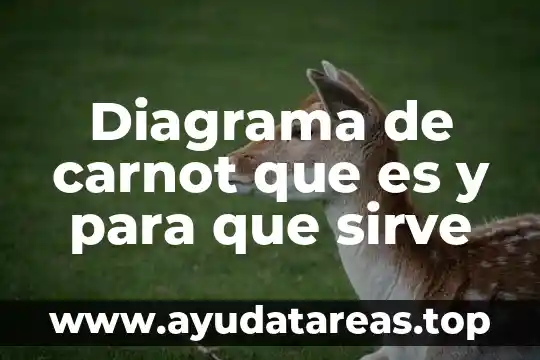Que es la flor amaranto para que sirve 5 Diagrama de carnot que es y para que sirve