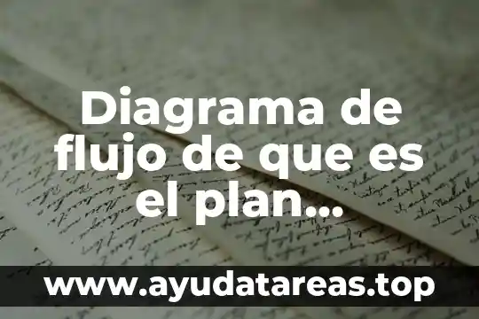 Diagrama de flujo de que es el plan nutricional