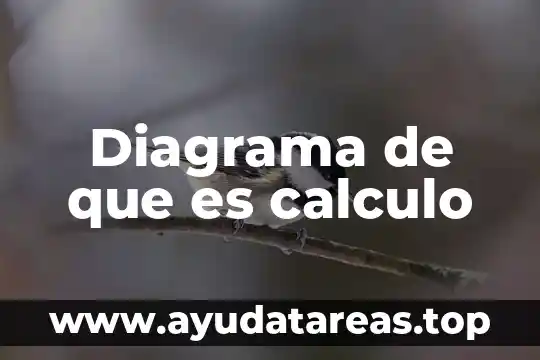 Que es un diagrama de bandas 8 Diagrama de que es calculo