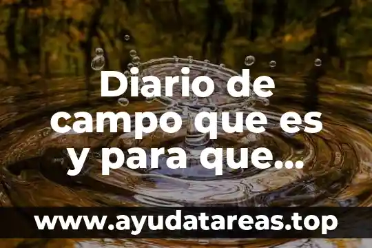 Analizar que es y caracteristicas 7 Diario de campo que es y para que sirve caracteristicas