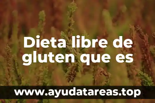 Que es dieta y sus tipos 6 Dieta libre de gluten que es