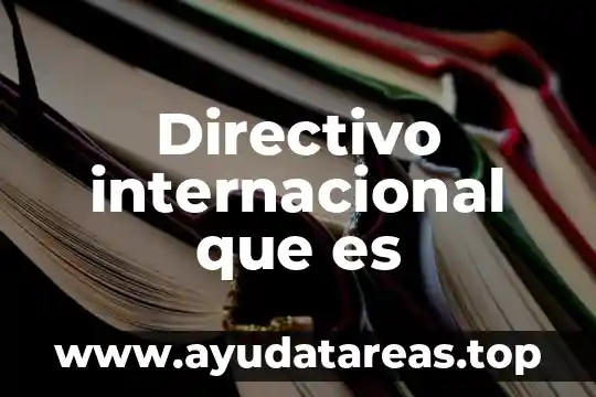 Directivo internacional que es