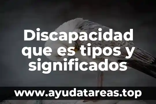 Que es la integracion laboral de personas con discapacidad 5 Discapacidad que es tipos y significados