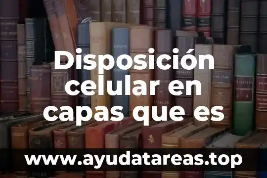 Que es la lisis celular del nucleo 4 Disposición celular en capas que es
