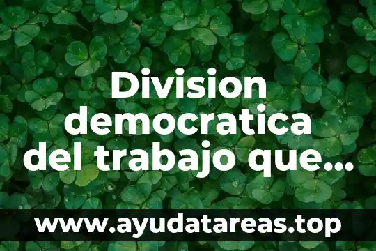 Division democratica del trabajo que es