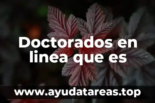 Que es anticancerigeno definición y ejemplos 4 Doctorados en linea que es