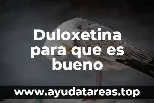 Por que es bueno ser un buen alumno 5 Duloxetina para que es bueno