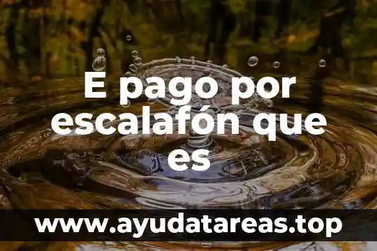 Ambiguedad fonética que es 4 E pago por escalafón que es