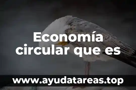 Economía circular que es
