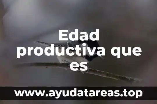 Que es el embarazo a temprana edad y sus caracteristicas 8 Edad productiva que es